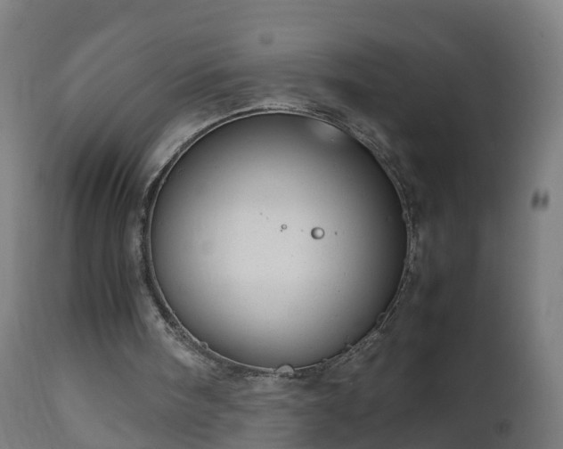 X0000112490098200908241335