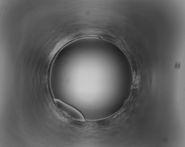 X0000112490099200908241335