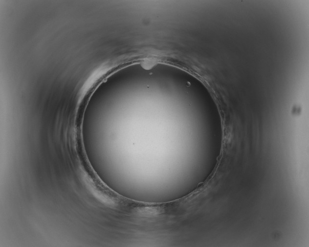 X0000112490102200908241335