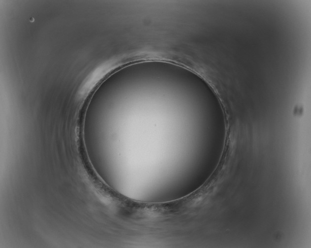 X0000112490103200908241335