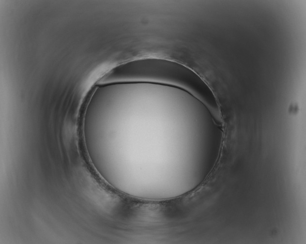 X0000112490104200908241335