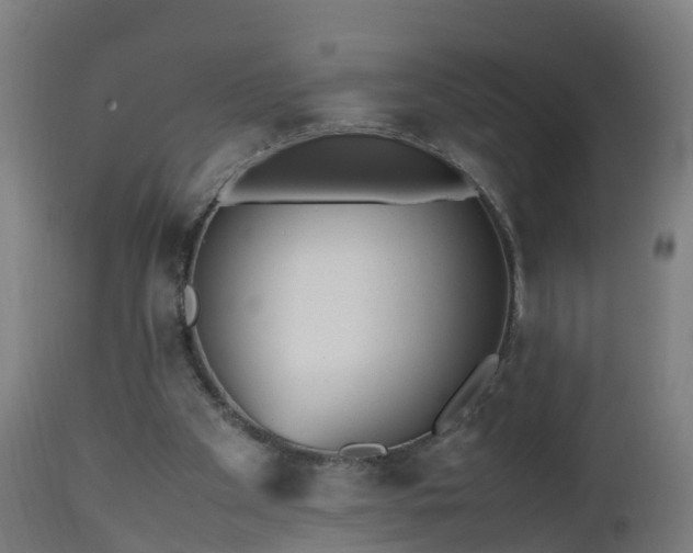 X0000112490105200908241335