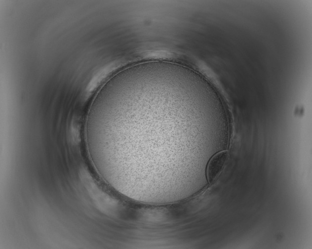 X0000112490106200908241335