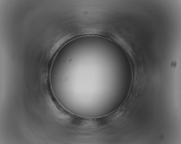 X0000112490107200908241335