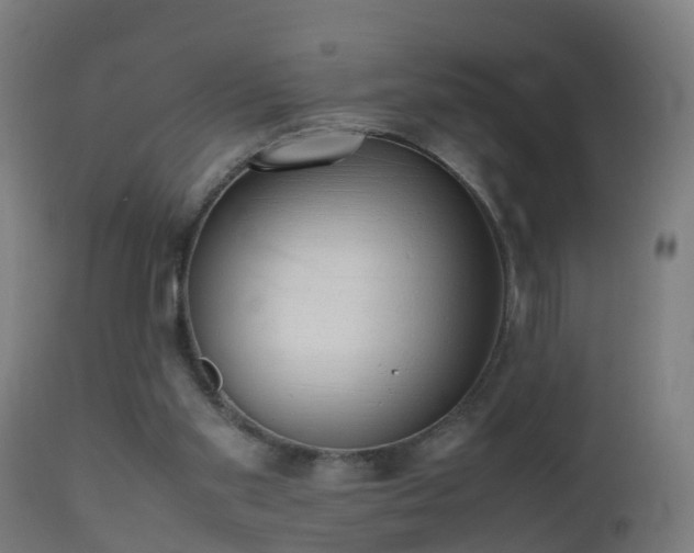 X0000112490109200908241335