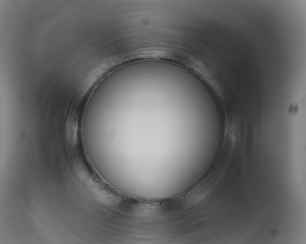 X0000112490110200908241335