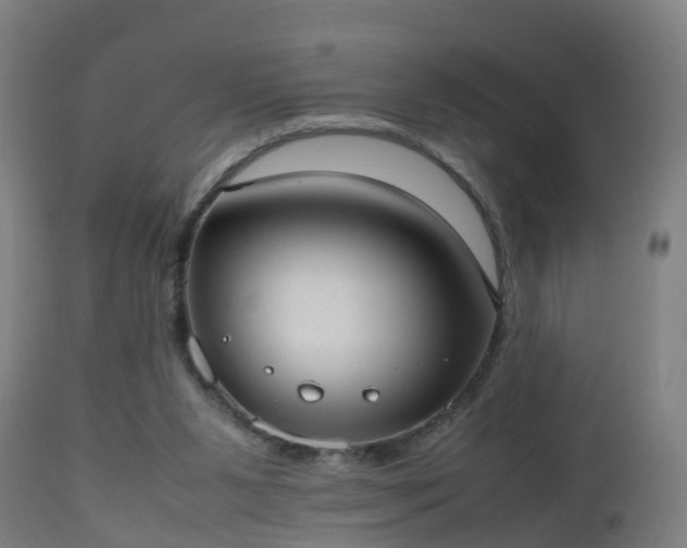 X0000112490111200908241335