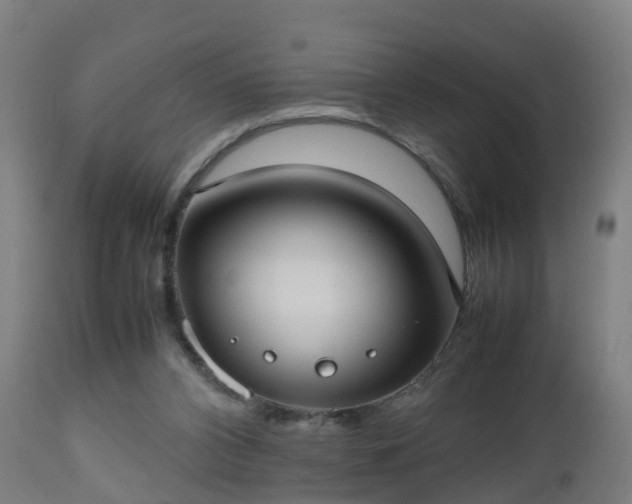 X0000112490112200908241335