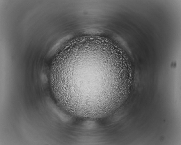 X0000112490114200908241335