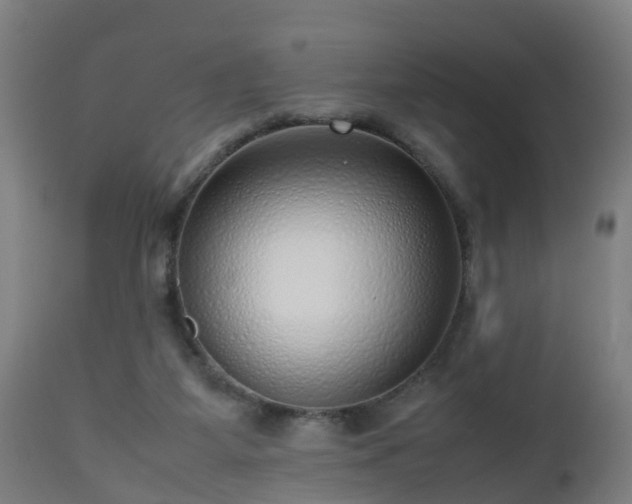 X0000112490115200908241335