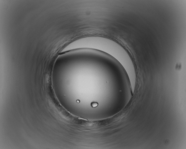 X0000112490117200908241335