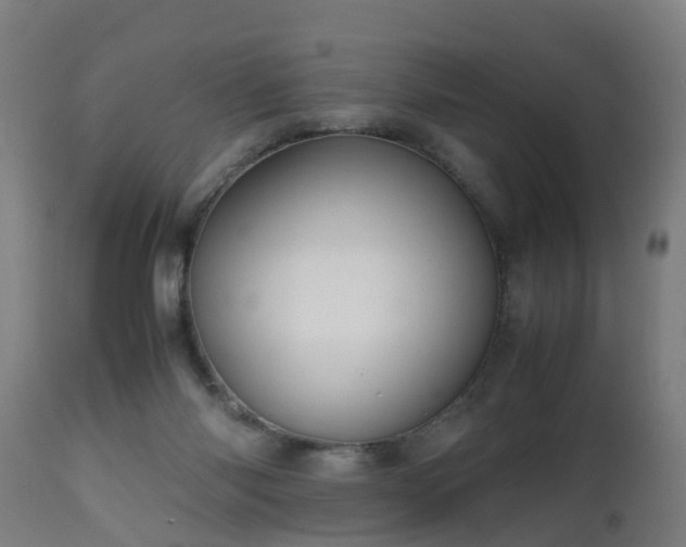 X0000112490118200908241335