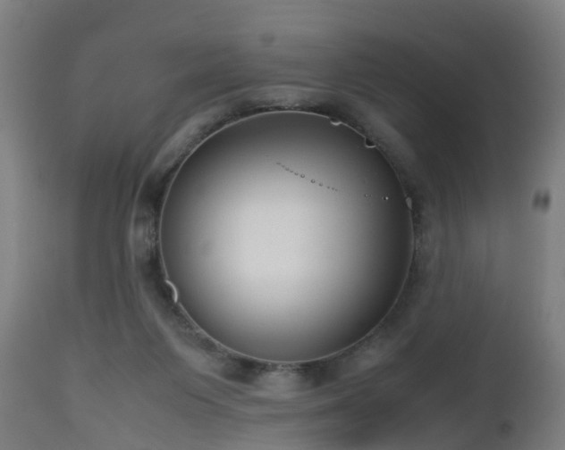 X0000112490119200908241335