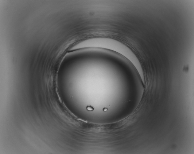 X0000112490120200908241335