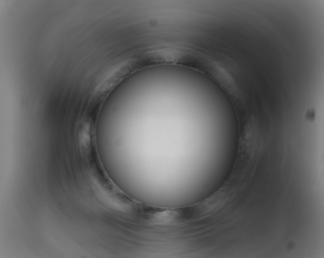 X0000112490122200908241335