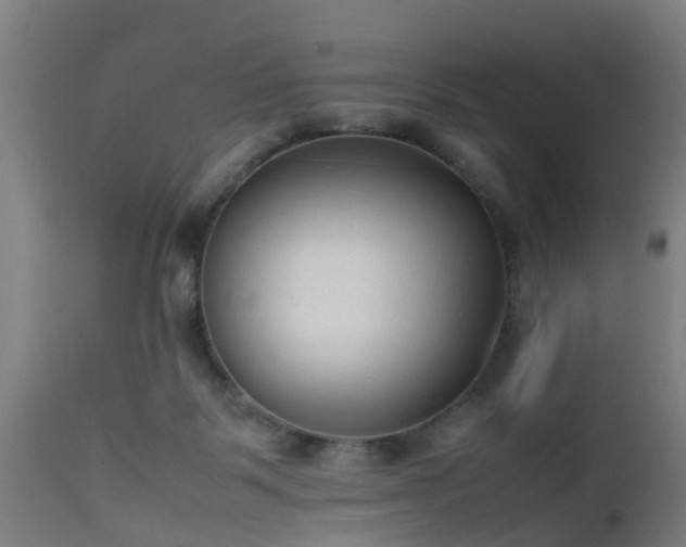 X0000112490123200908241335