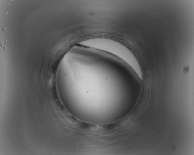 X0000112490125200908241335