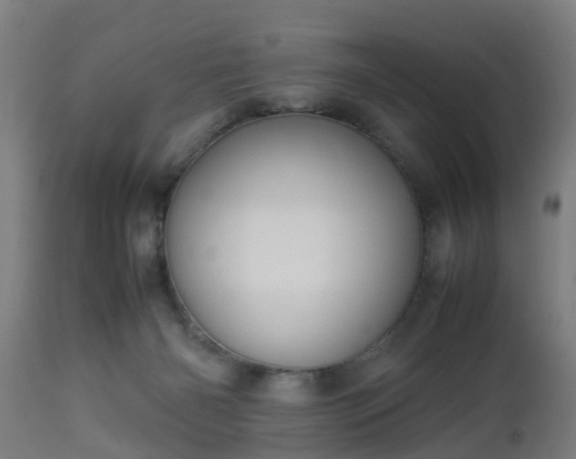 X0000112490126200908241335