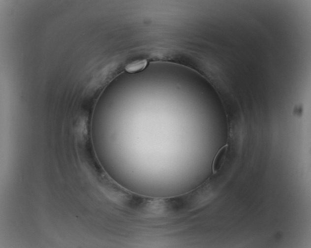 X0000112490127200908241335