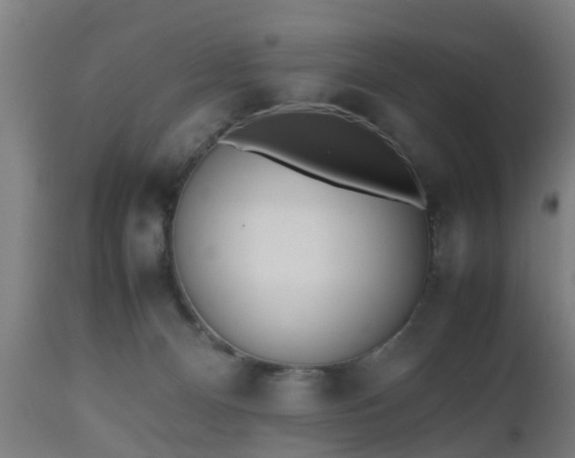 X0000112490128200908241335