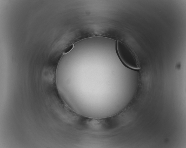 X0000112490129200908241335