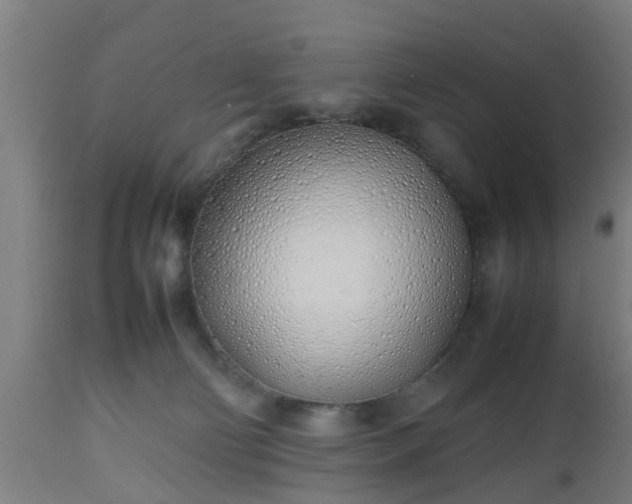 X0000112490130200908241335