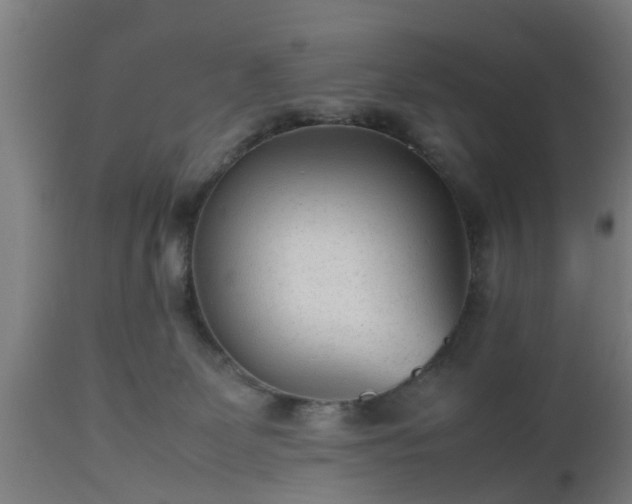 X0000112490131200908241335