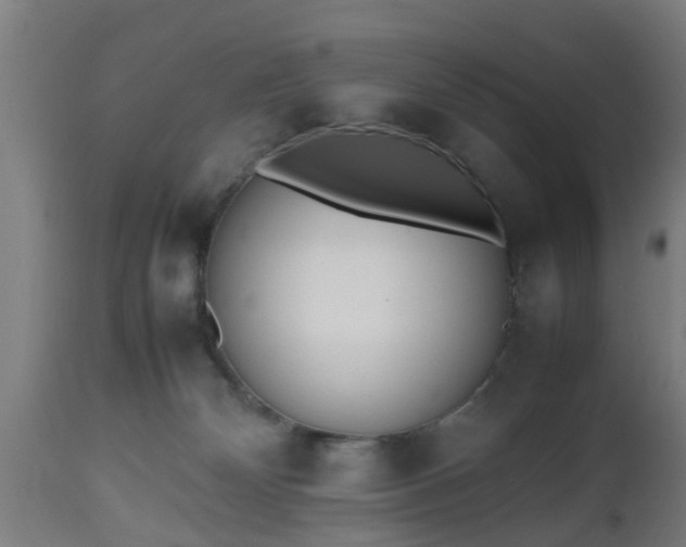 X0000112490132200908241335