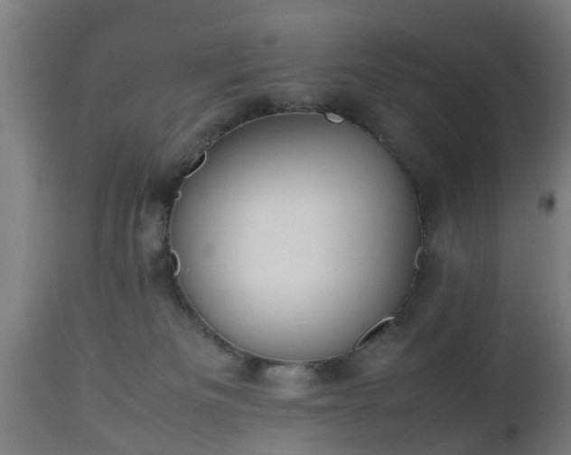 X0000112490133200908241335