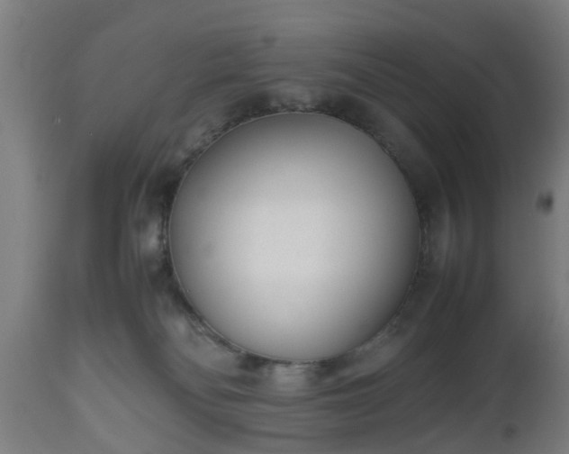 X0000112490134200908241335