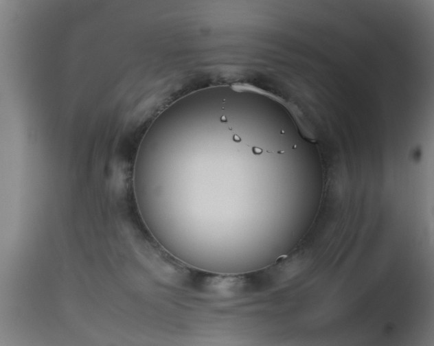 X0000112490135200908241335