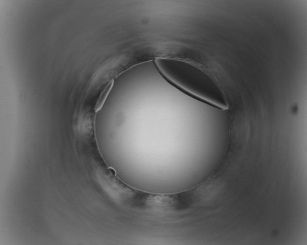 X0000112490137200908241335