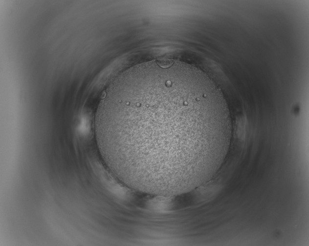 X0000112490138200908241335