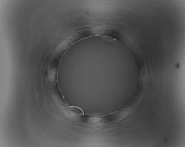 X0000112490139200908241335