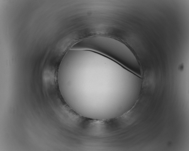 X0000112490140200908241335