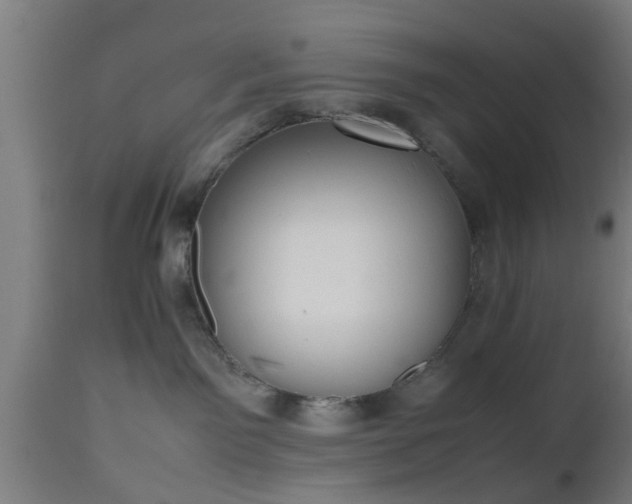 X0000112490141200908241334