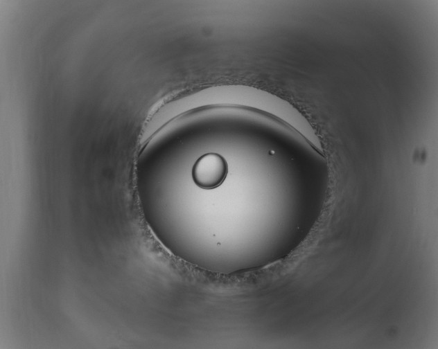 X0000112490144200908241334