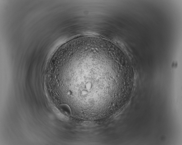 X0000112490145200908241334