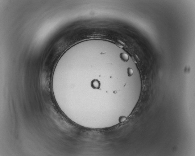 X0000112490146200908241334