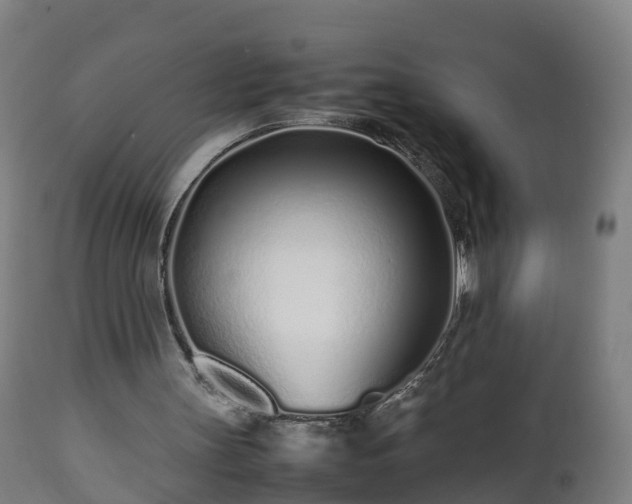 X0000112490147200908241334