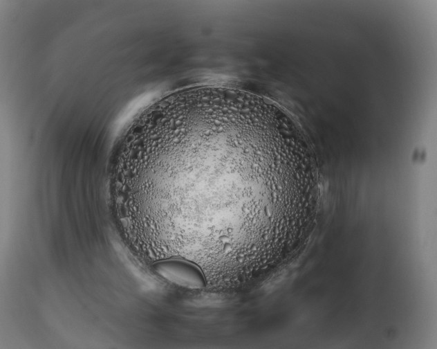 X0000112490149200908241334