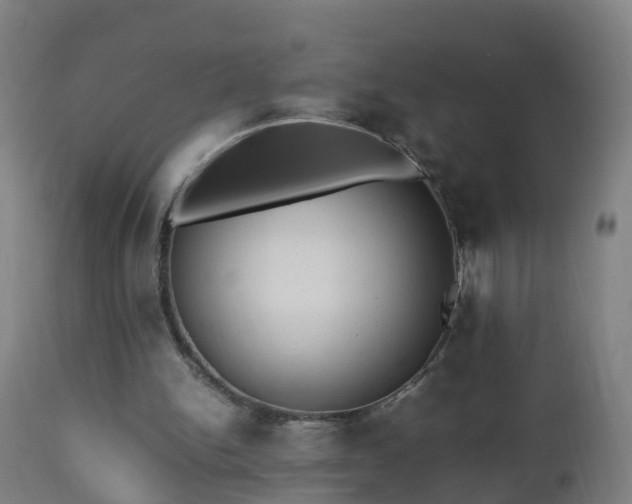 X0000112490150200908241334