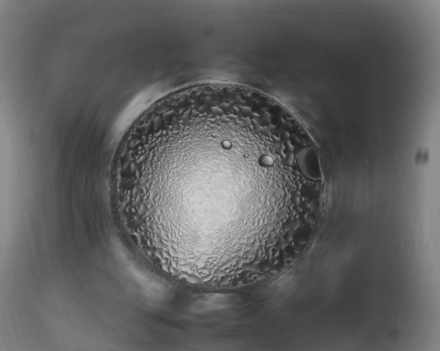 X0000112490151200908241334