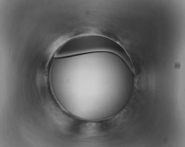 X0000112490152200908241334