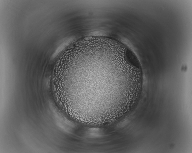 X0000112490153200908241334