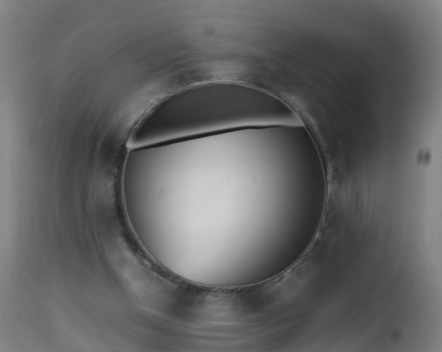 X0000112490154200908241334