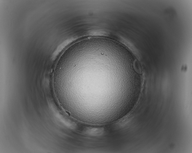 X0000112490155200908241334