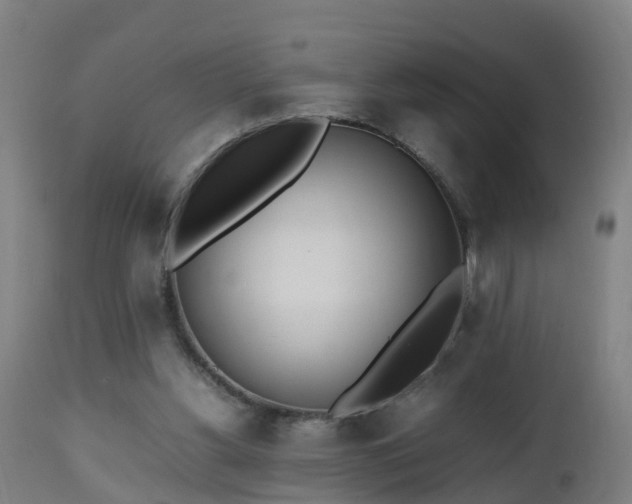 X0000112490156200908241334