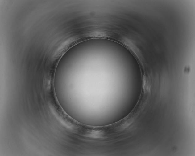 X0000112490157200908241334