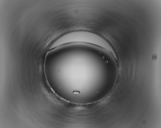 X0000112490158200908241334